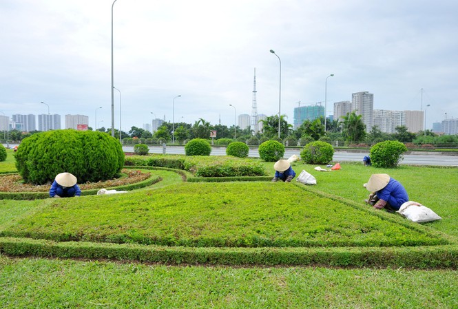 Dịch vụ cắt cỏ chăm sóc và bảo dưỡng cây xanh, cảnh quan