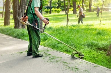 Dịch vụ cắt cỏ phát hoang giá rẻ